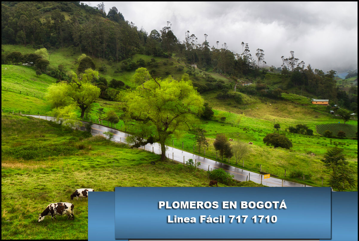 Plomeros en Choachí Cundinamarca Plomeros en Choachí Cundinamarca